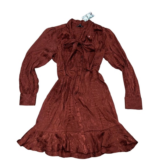 Express Rusty Ruffle Long Sleeve Dress Size Medium - Picture 4 of 5